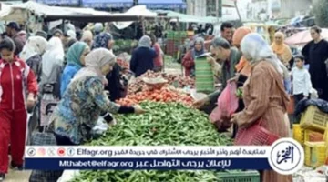 أسوان تشهد استقرار أسعار الخضراوات والفواكه الاثنين 24 نوفمبر 2025